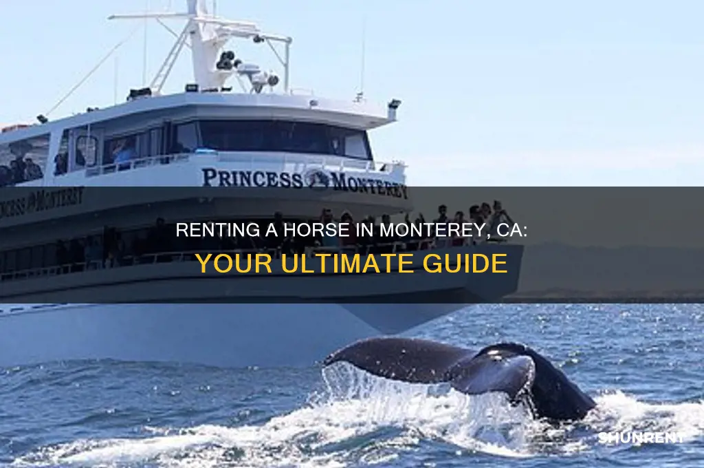 how to rent a horse in monterey ca