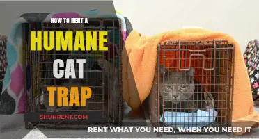 Renting Humane Cat Traps: A Step-by-Step Guide for Safe Capture