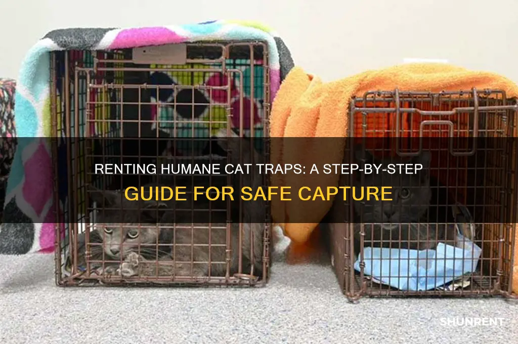 how to rent a humane cat trap