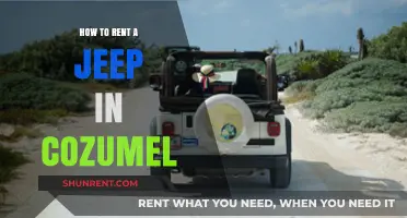 Renting a Jeep in Cozumel: Your Ultimate Adventure Guide