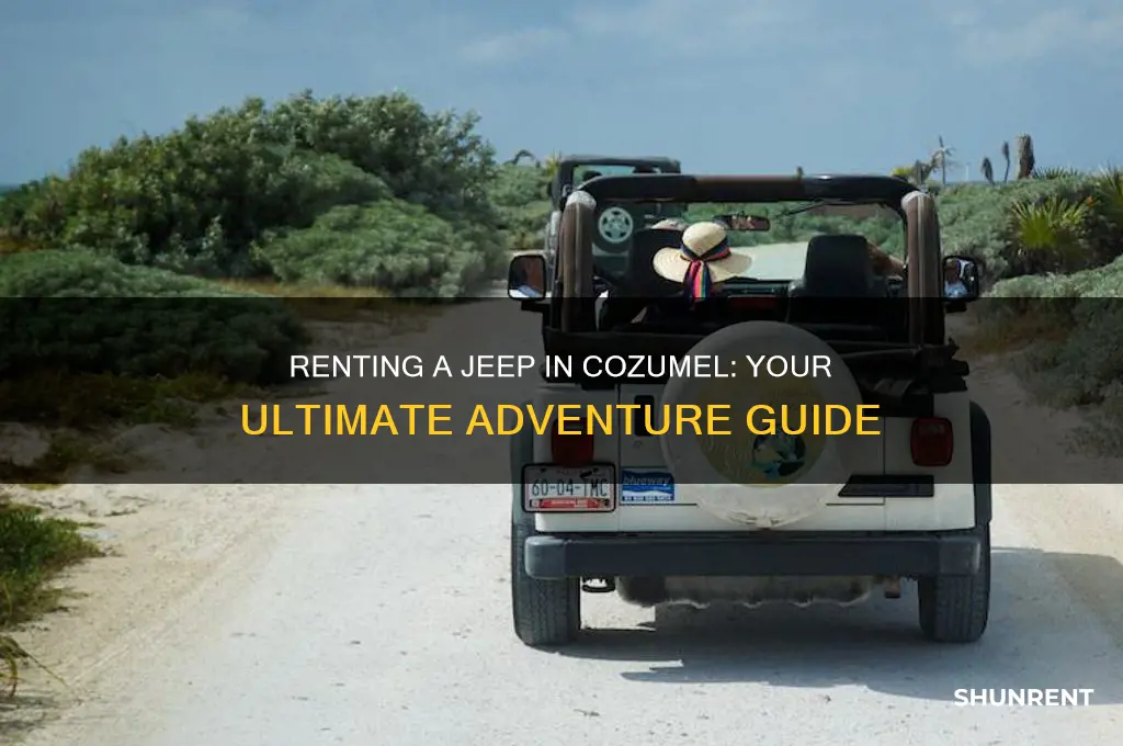 how to rent a jeep in cozumel