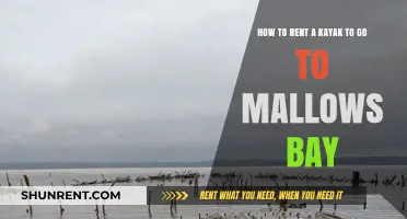 Rent a Kayak and Explore Mallows Bay: A Beginner's Guide