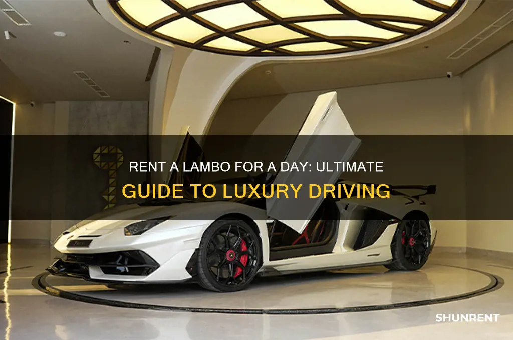 how to rent a lambo for a day