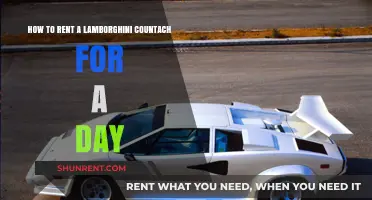 Rent a Lamborghini Countach: Your Ultimate Guide to a Dream Day