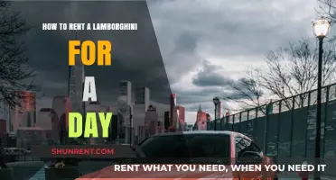 Renting a Lamborghini for a Day: The Ultimate Guide