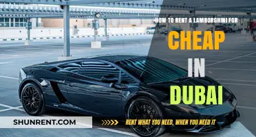 Affordable Lamborghini Rentals in Dubai: Your Ultimate Guide to Luxury Driving