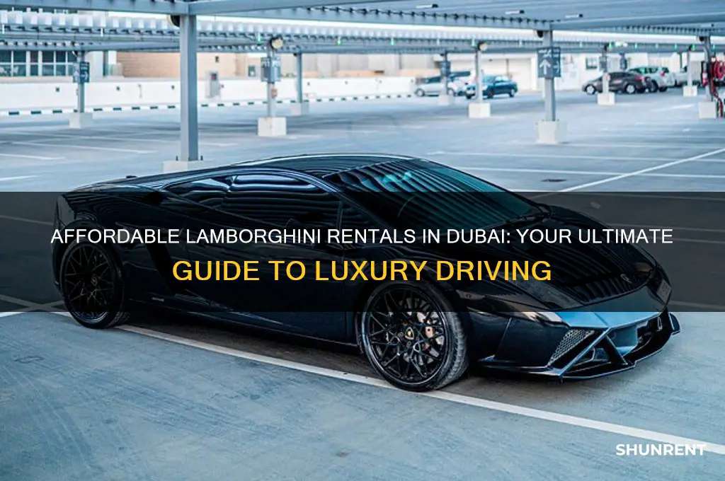 how to rent a lamborghini for cheap in dubai