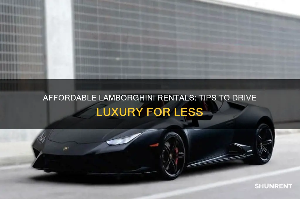 how to rent a lamborghini for cheap