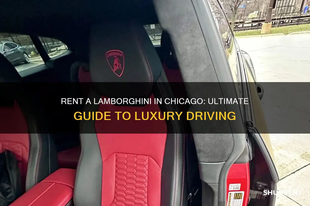 how to rent a lamborghini in chicago illinois