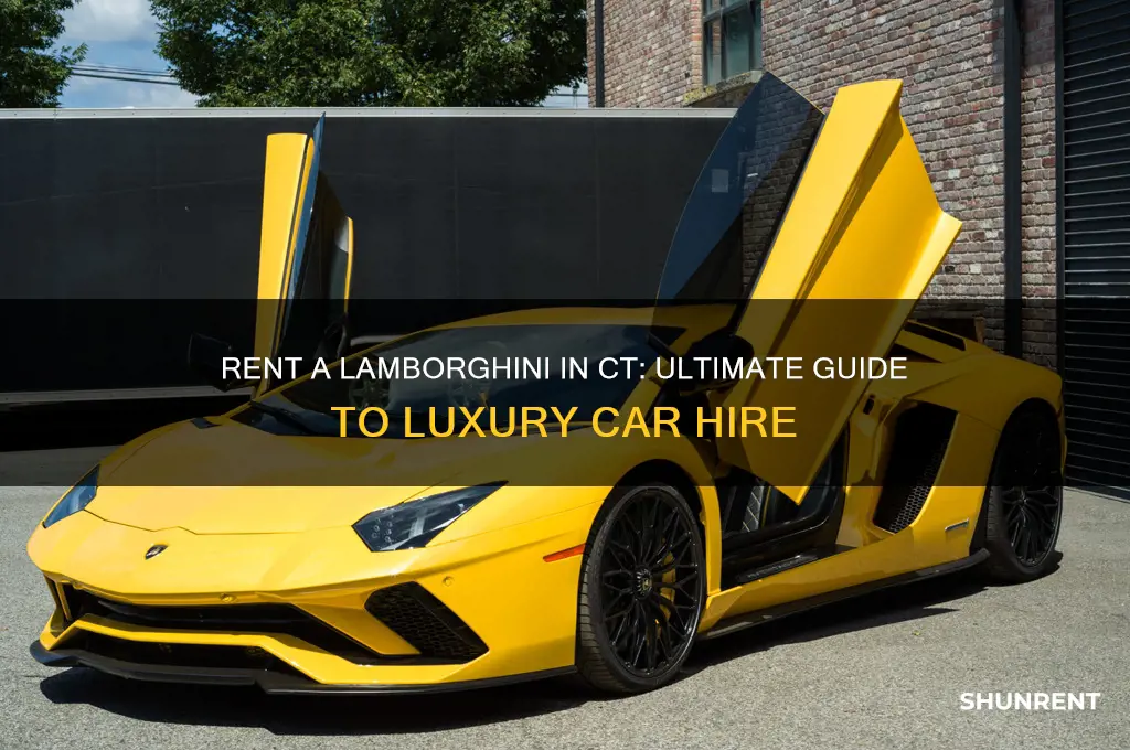 how to rent a lamborghini in ct
