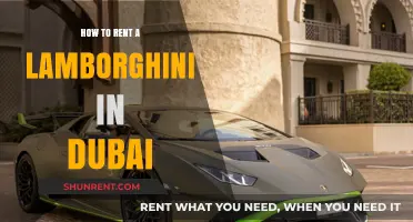 Rent a Lamborghini in Dubai: Ultimate Guide to Luxury Driving