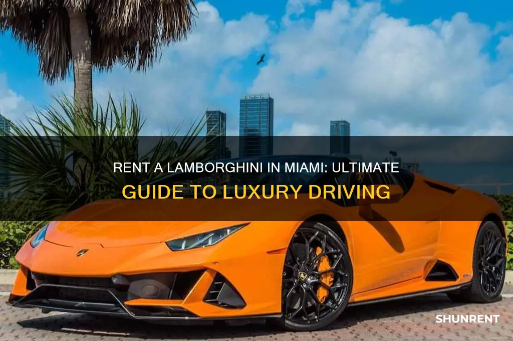 how to rent a lamborghini in miami