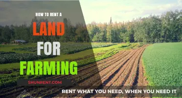 Renting Land for Farming: A Step-by-Step Guide to Success