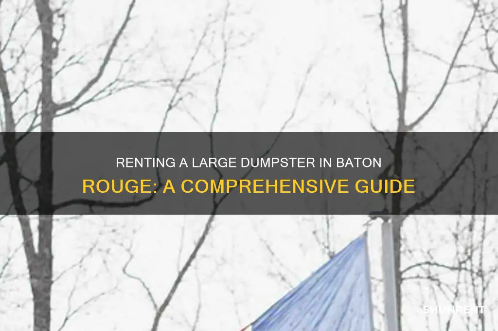 how to rent a large dumpster baton rouge