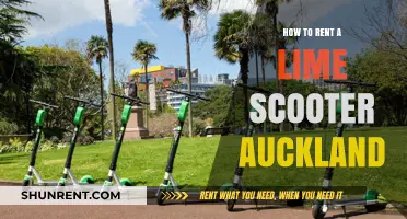 Renting Lime Scooters in Auckland: A Quick and Easy Guide