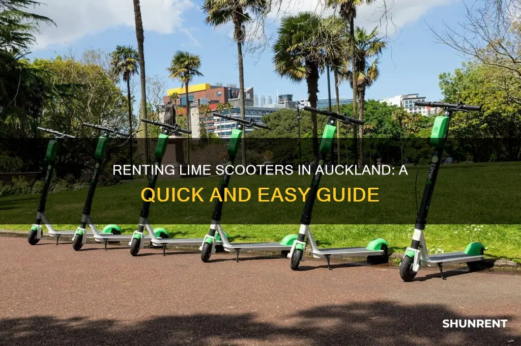 how to rent a lime scooter auckland