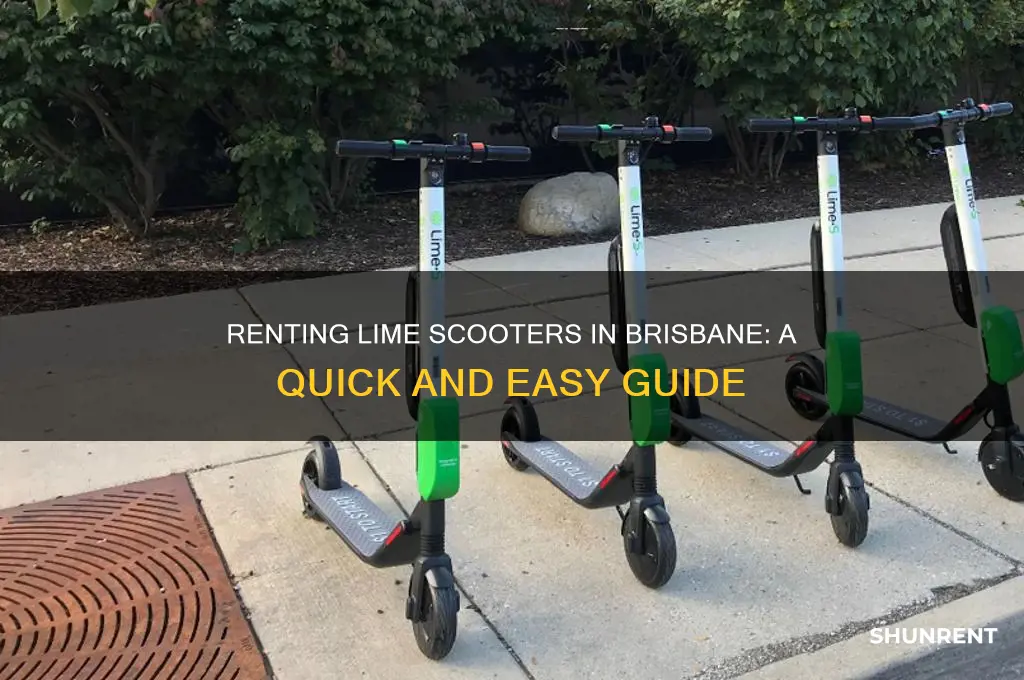 how to rent a lime scooter brisbane