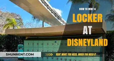 Renting a Disneyland Locker: A Step-by-Step Guide for Visitors
