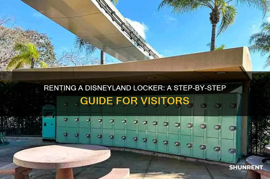 how to rent a locker at disneyland