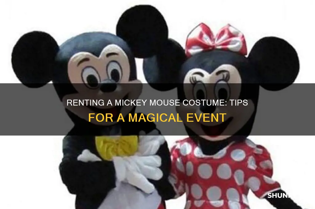 how to rent a mickey mouse costume