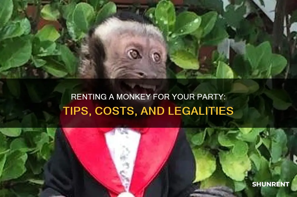 how to rent a monkey for a party