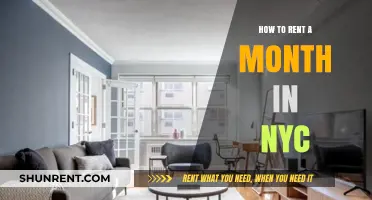 Renting in NYC: A Month-Long Guide to Finding Your Perfect Stay
