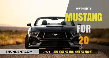 Renting a Mustang for $20: Tips and Tricks for Affordable Adventure