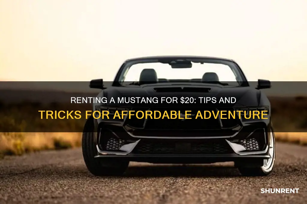 how to rent a mustang for 20
