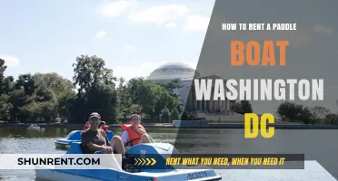 Renting Paddle Boats in Washington DC: A Beginner's Guide