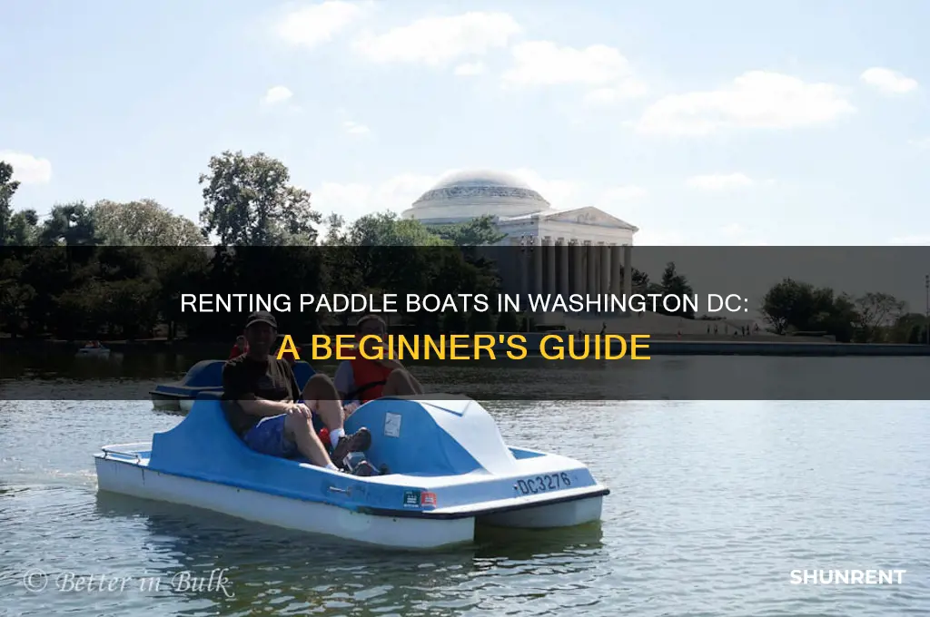 how to rent a paddle boat washington dc