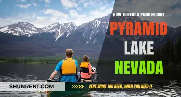 Renting Paddleboards at Pyramid Lake, Nevada: A Beginner's Guide