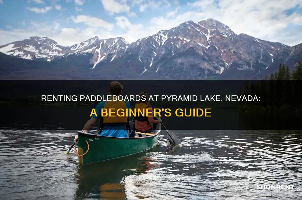 how to rent a paddleboard pyramid lake nevada