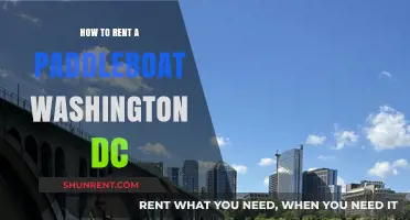 Renting Paddleboats in Washington DC: A Beginner's Guide to Fun
