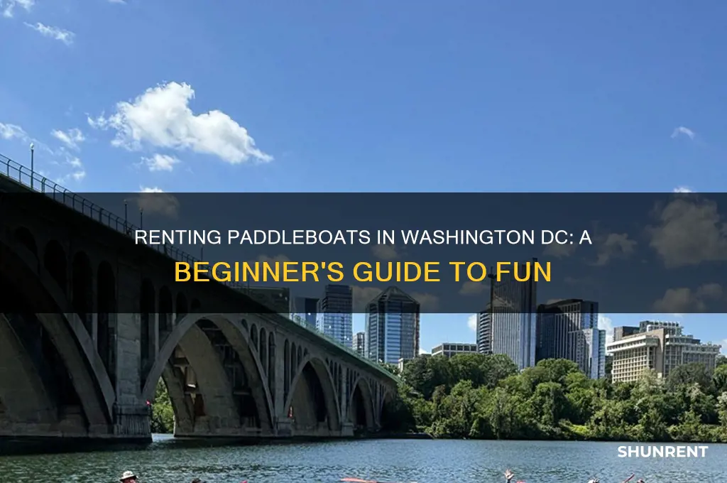 how to rent a paddleboat washington dc