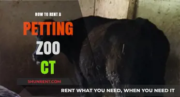 Renting a Petting Zoo in CT: A Step-by-Step Guide