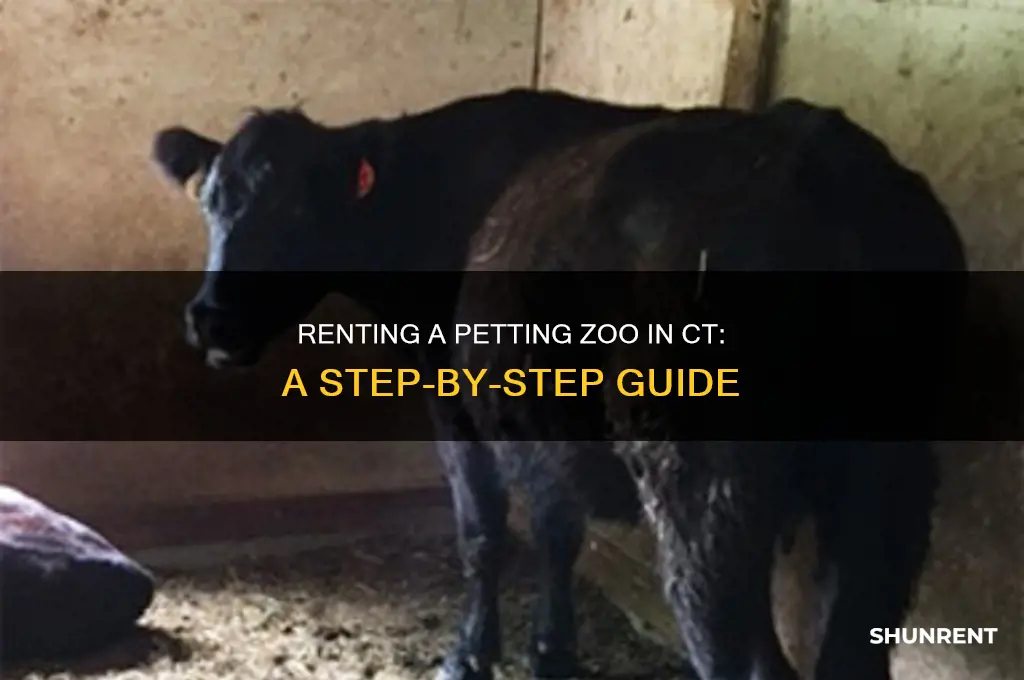 how to rent a petting zoo ct