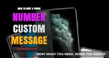 Rent a Phone Number: Crafting Custom Messages for Your Business