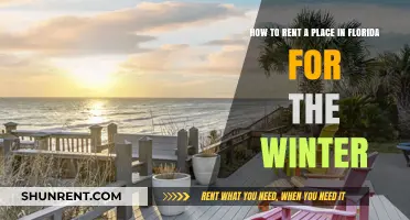 Your Winter Escape: A Guide to Renting in Florida