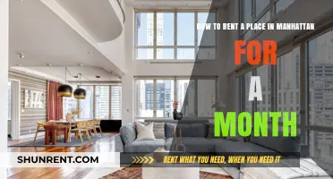 Renting in Manhattan: A Month-Long Guide to Finding Your Perfect Spot
