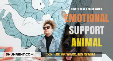 Renting with Your Emotional Support Animal: A Step-by-Step Guide
