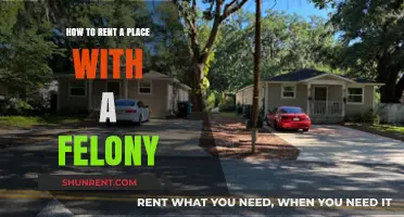 Renting with a Felony: Strategies for Securing Housing Successfully