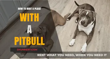 Renting with a Pitbull: Tips for Finding a Pet-Friendly Home