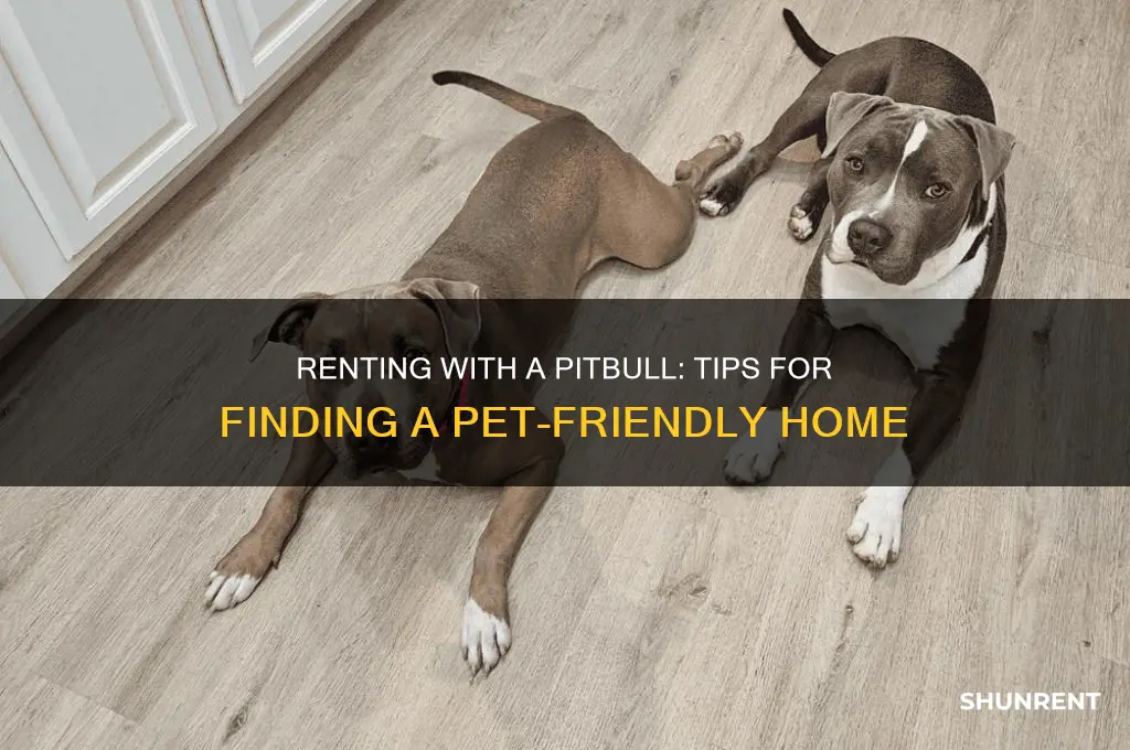 how to rent a place with a pitbull