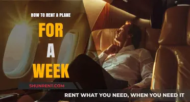 Renting a Plane for a Week: Your Ultimate Guide to Private Air Travel