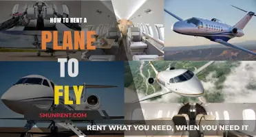 Renting a Plane: Your Ultimate Guide to Private Air Travel