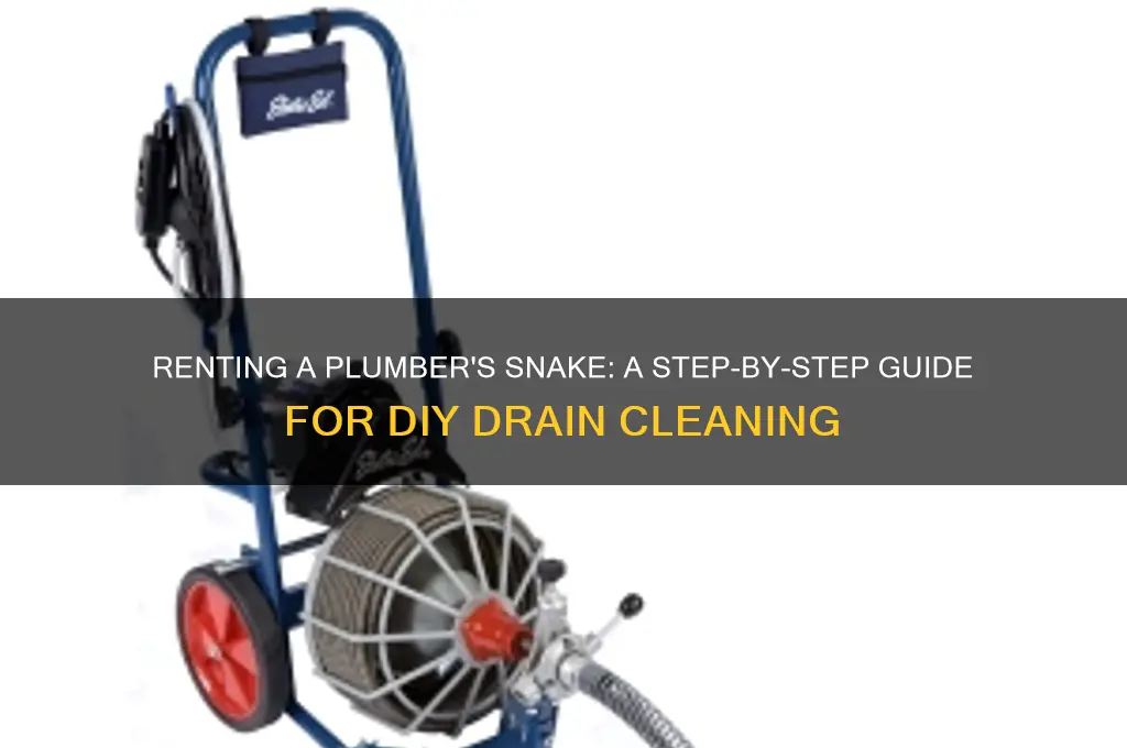 how to rent a plumber