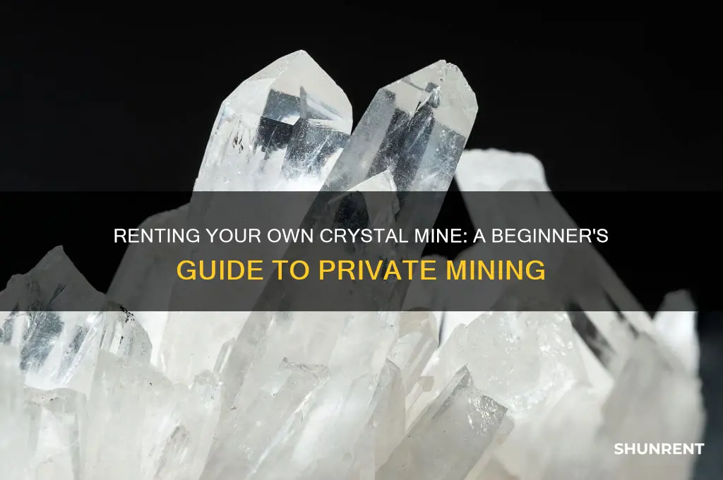 how to rent a private crystal mine