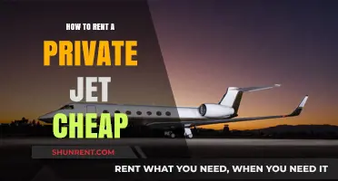 Affordable Private Jet Rentals: Tips for Budget-Friendly Luxury Travel