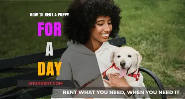 Rent a Puppy for a Day: Your Ultimate Guide to Puppy Rentals