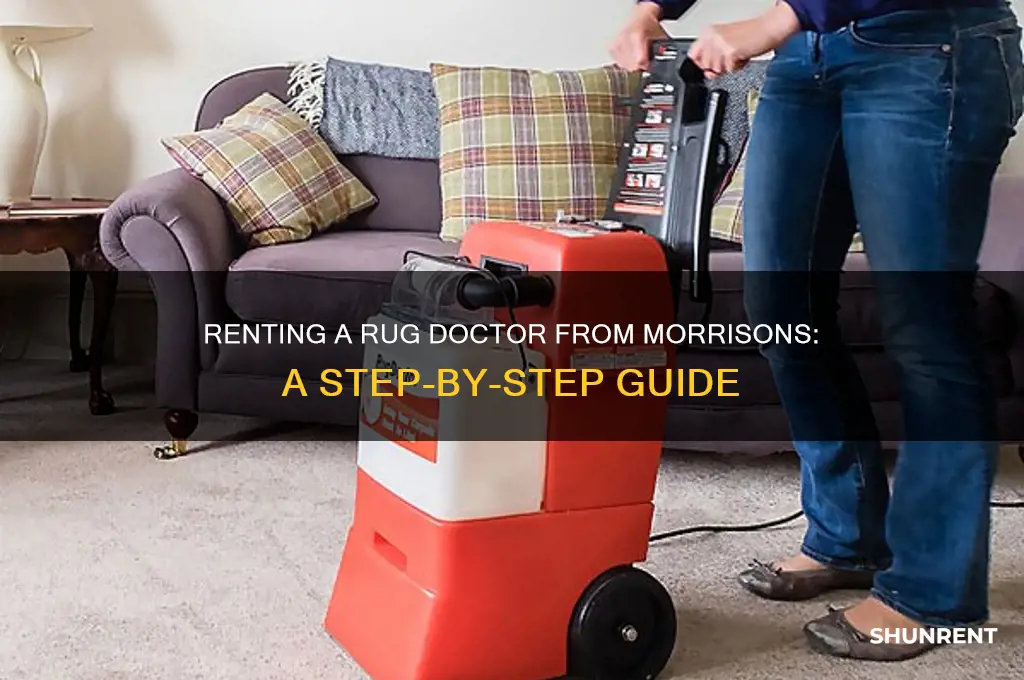 how to rent a rug doctor from morrisons